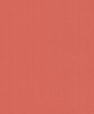 Фото Rasch Fresh Up 2015 491906