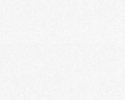 Фото A.S.Creation Maistervlies 2020 95310-1