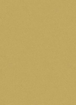 Фото Erismann Isabella 5918-48