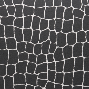 Фото BN International Neo 43831