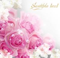 Розы и цветы вишни