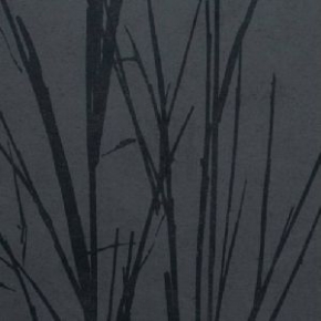 Фото BN International Authentique 45762