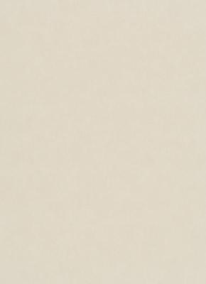 Фото Erismann Nordic Summer 1779-02