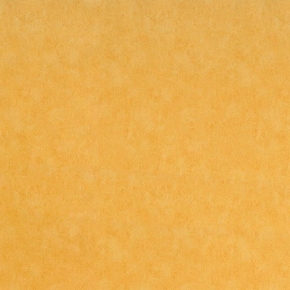 Фото BN International Glamour 43010