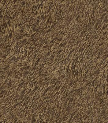 Фото Rasch Black Forest 2016 514520