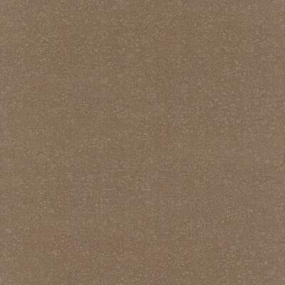 Фото Rasch Black Forest 2016 514155