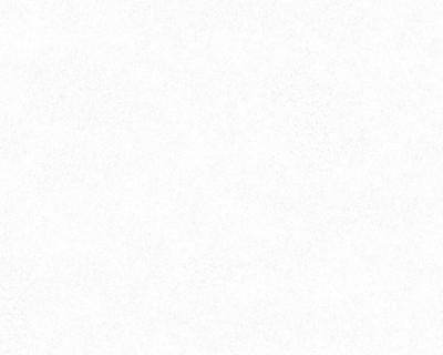 Фото A.S.Creation Neue Bude 2.0 36206-6