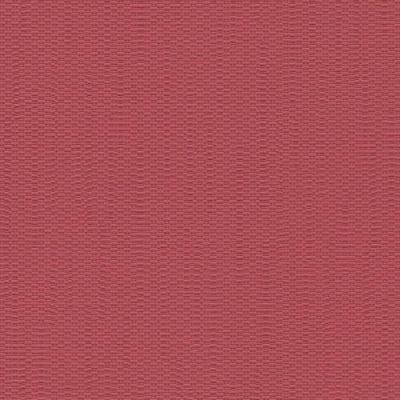 Фото Rasch Queens 2013 795950