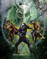 Komar 014-DVD2 (Black Panther Collage)