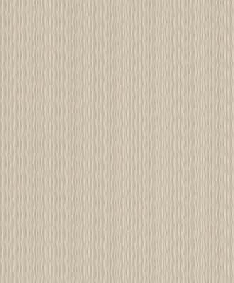 Фото Rasch Chorus Line 2014 469363