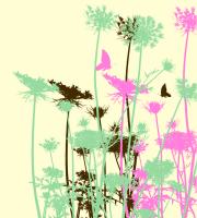 Бабочки на цветах