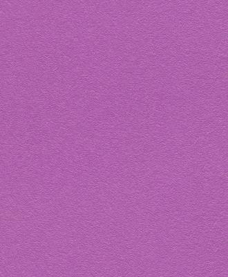 Фото Rasch Kids' Club 2014 772364