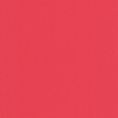 Фото Rasch Prego 2 2019 740288