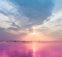 Розовая вода