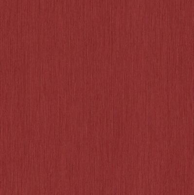 Rasch Perfecto 2014 497908