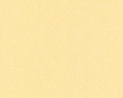 Фото A.S.Creation MV meets XXL 715623