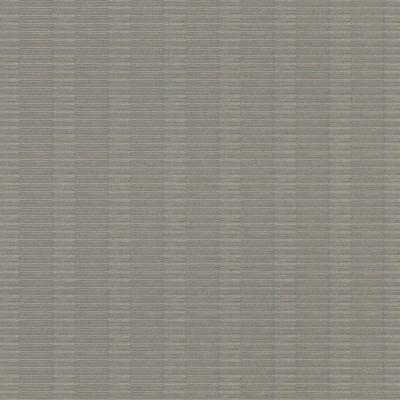 Фото Rasch Axiom 960945