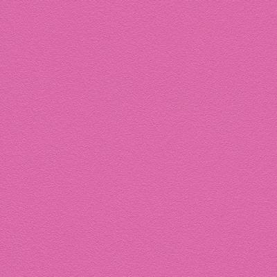 Фото Rasch Kids' Club 2014 740295