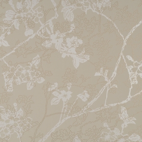 Фото BN International Chacran 46022