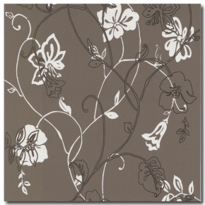 Фото BN International Jolly 46661