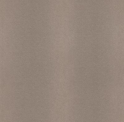 Фото Rasch African Queen 2014 422757