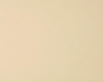 Фото A.S.Creation Best of Vlies 2012 169259