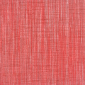 Фото BN International Motion 46646