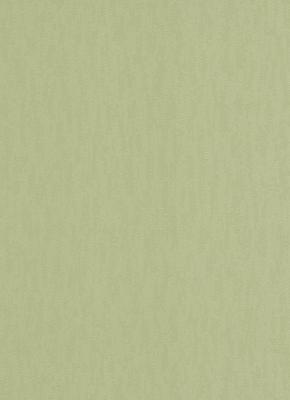 Erismann Livia 5217-07