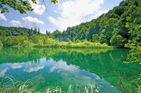 Озеро и лес