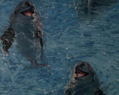 Фото A.S.Creation Decora Natur 4 750129