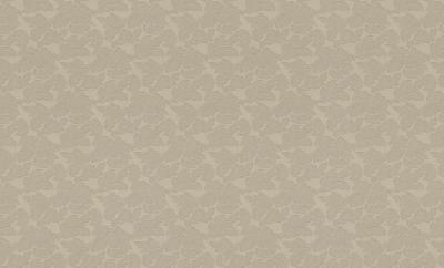 Фото Rasch Maximum XI 926200