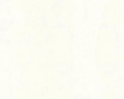 Фото A.S.Creation Used Look 224040