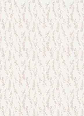 Фото Erismann Darling 6483-05