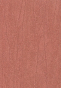 Фото Marburg Crush Gala 61877