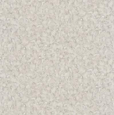 Фото Rasch Black Forest 2016 514704