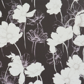 Фото BN International Nordic Light 47476