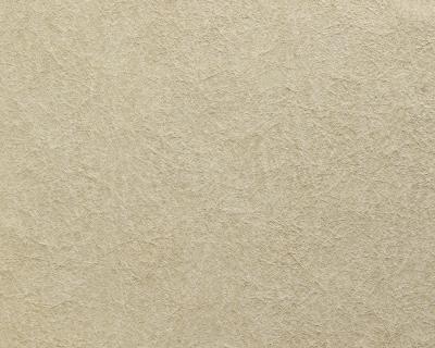 Фото A.S.Creation Omnia 180827