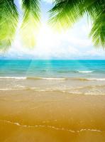 Пляж пальмы море песок