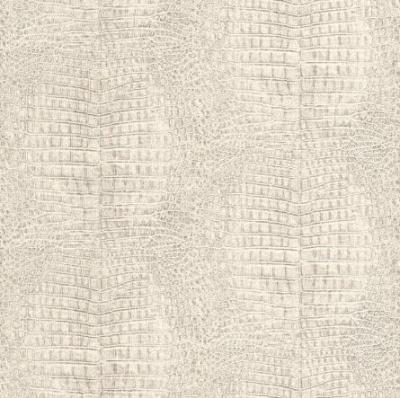 Rasch African Queen 2014 422566