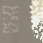 Фото BN International Q2 43120