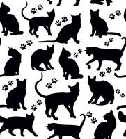 Черные кошки