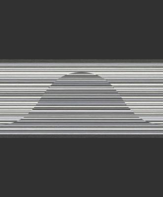 Rasch Perfecto 2014 498073