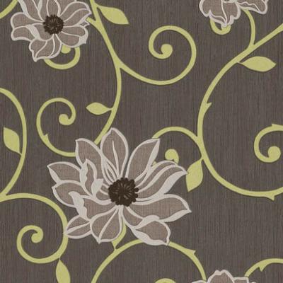 Rasch Plaisir 2014 454321