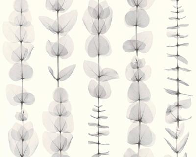 Фото A.S.Creation X-Ray 34246-2