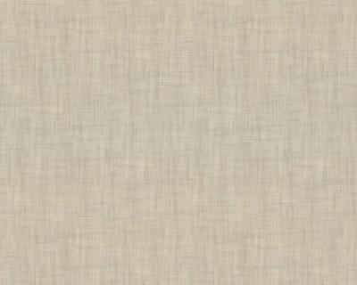 Фото A.S.Creation Moderno 36733-6