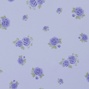 Фото BN International La Vie En Rose 46384