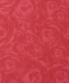 Фото BN International Shadows on the Walls 45512