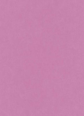 Фото Erismann My Garden 6331-21