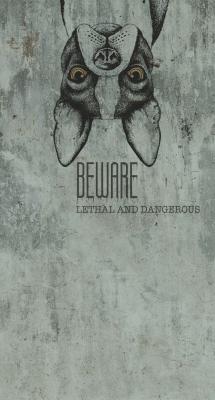 Фото Erismann Elle Decoration 3 2266-20 (плотность 155 гр/м2)