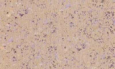 Фото Rasch Maximum XI 926330